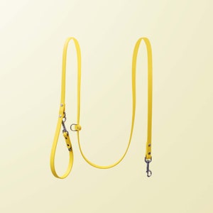 Hands Free Waterproof Dog Leash: Biothane Crossbody/Belt Leash