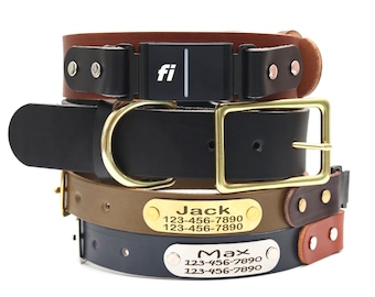 Fi Compatible Leather Belt Buckle Dog Collar with Engraved Nameplate: Series 3/3+