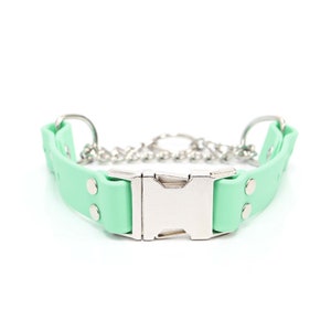 Seafoam Green Waterproof Quick Release Martingale Dog Collar | Handmade Biothane Martingale | Stink Proof Leather Alternative Collar