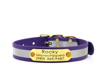 Collier pour chien avec boucle de ceinture réfléchissante mauve mat avec plaque signalétique rivetée : fait main, facile à nettoyer