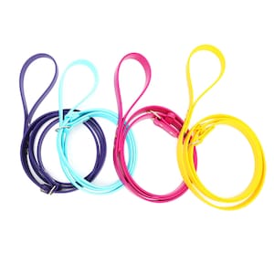 Wasserdichte Belegleine | Biothane HUNDELEINE | Biothane Steckleine | Agility Schlupfleine 2 ft - 2 ft | Hundehalsband Leine COMBO (22 Farben)