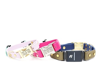 Two-Tone Waterproof Fi Compatible Side Release Collar: Engraved Buckle, Series 3/3+