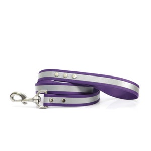 Purple Matte Reflective Waterproof Dog Leash -- Purple Smell Resistant Dog Leash -- Purple Training Dog Leash -- Purple Safety Dog Leash