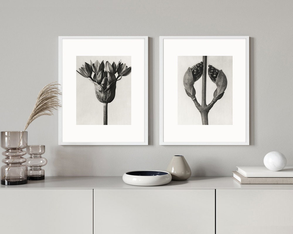 Vintage Botanical Prints Set, Photography Prints Nature, Antique Vintage Botanical Prints Set, Photography Prints Nature, Antique