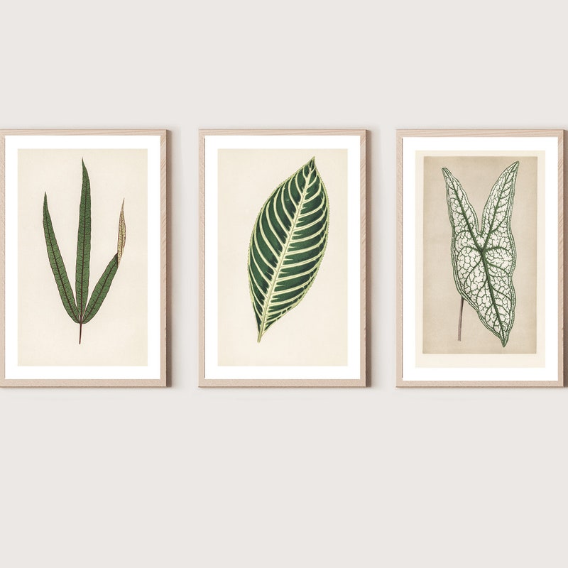 Set of 3 Leaf Art main image 1