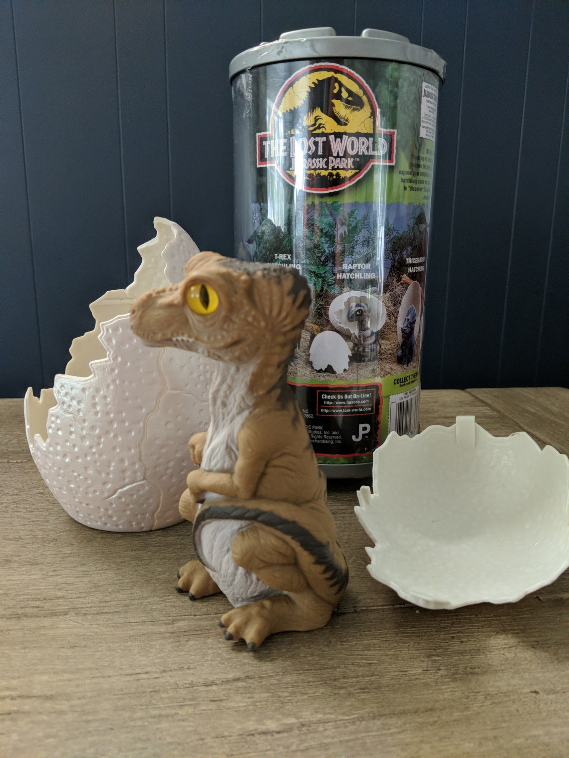 how big is a trex egg