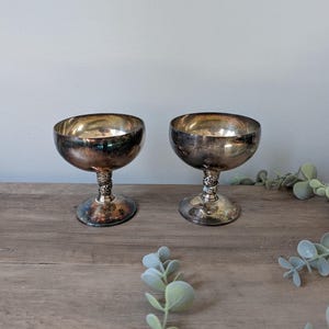 May include: Two vintage silver-plated champagne coupe glasses. The glasses have a wide, shallow bowl and ornate stems. The interior of the bowls have a reflective, polished finish. The glasses are displayed on a wooden surface with green foliage.