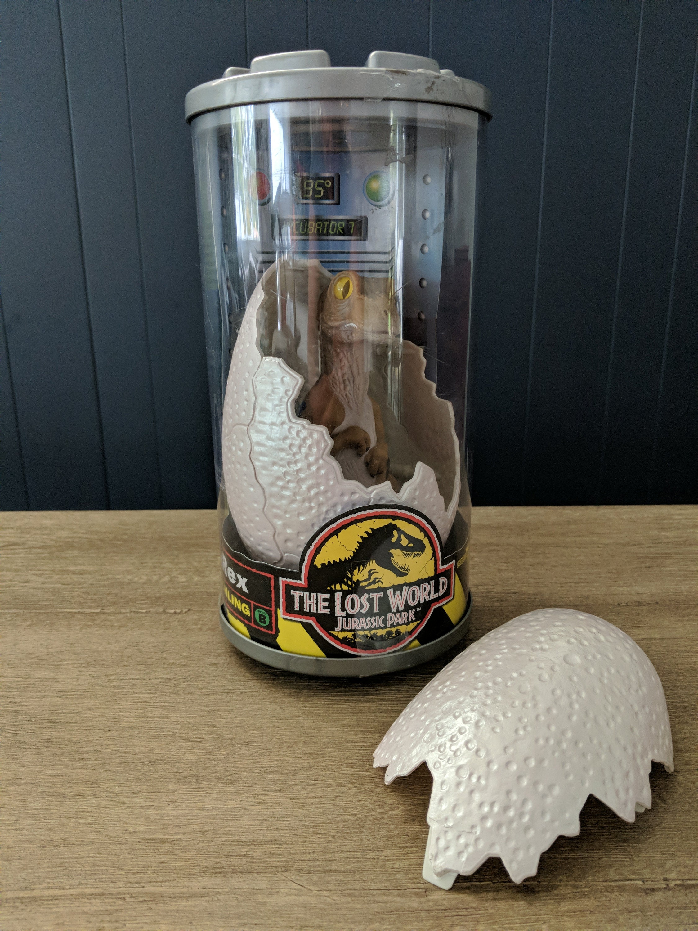 how big is a tyrannosaurus rex egg