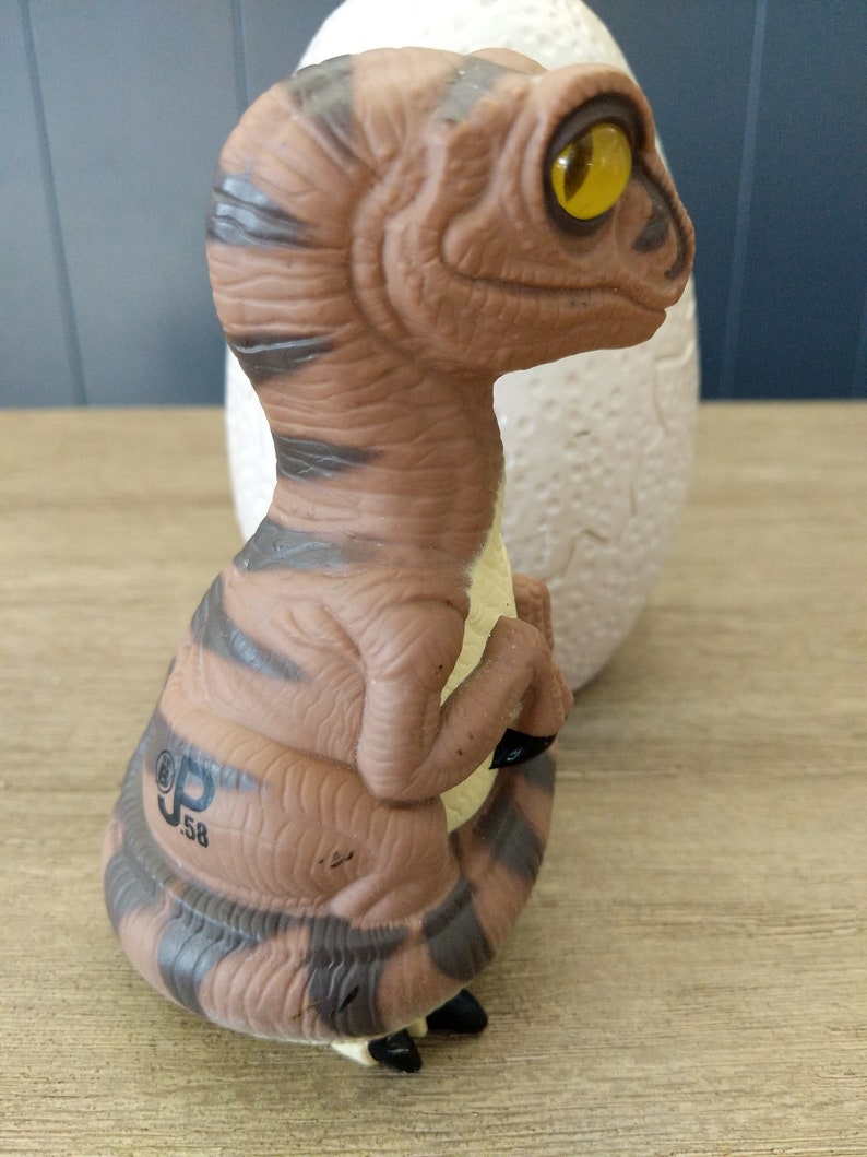 velociraptor egg fossil