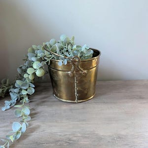 May include: A polished brass bucket with a vertical seam and a swinging handle, containing a trailing artificial plant with small, rounded, pale green leaves that spill over the side of the container and onto the surface below.