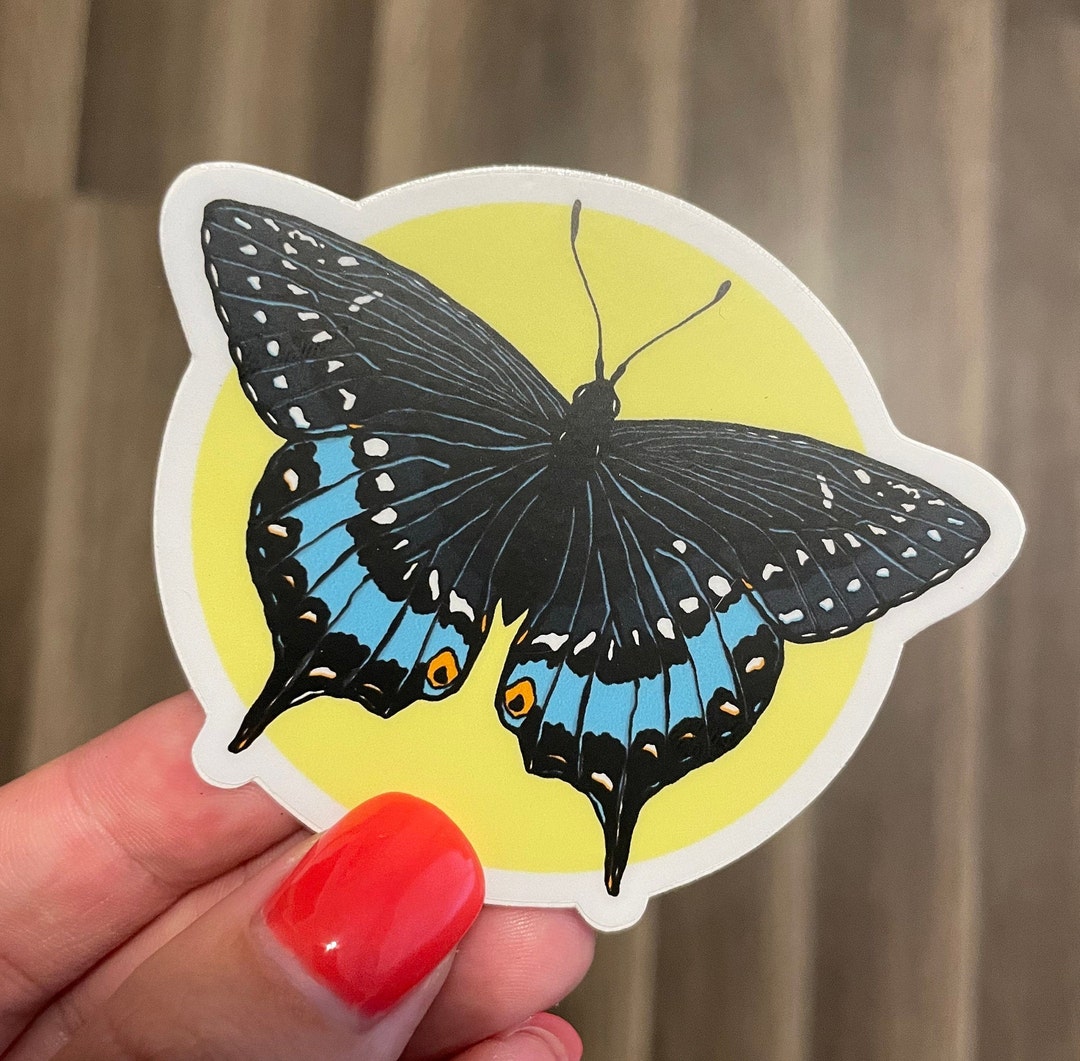 Butterfly Sticker, Spicebush Swallowtail - Etsy