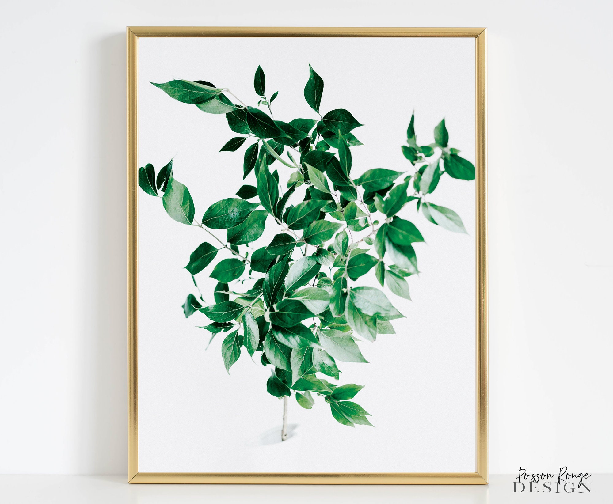 Green Plant Poster Green Leaf Wall Art Digital Wall Art Etsy