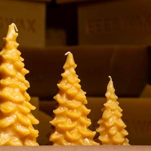 Beeswax Pine Tree Candle | Christmas Tree Candle -Forest- PNW- Pure Beeswax-Eco-friendly-Beeswax Candle- Beeswax
