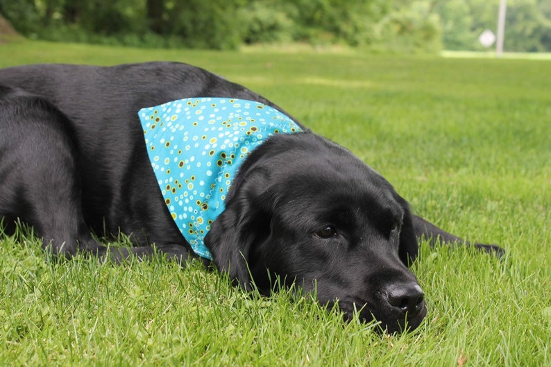 Teal Over The Collar Bandana