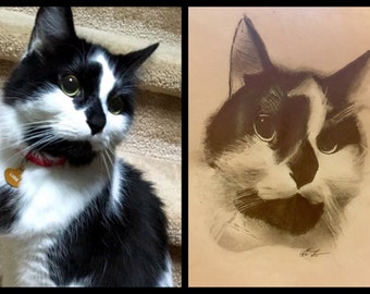 Custom Pet Portraits