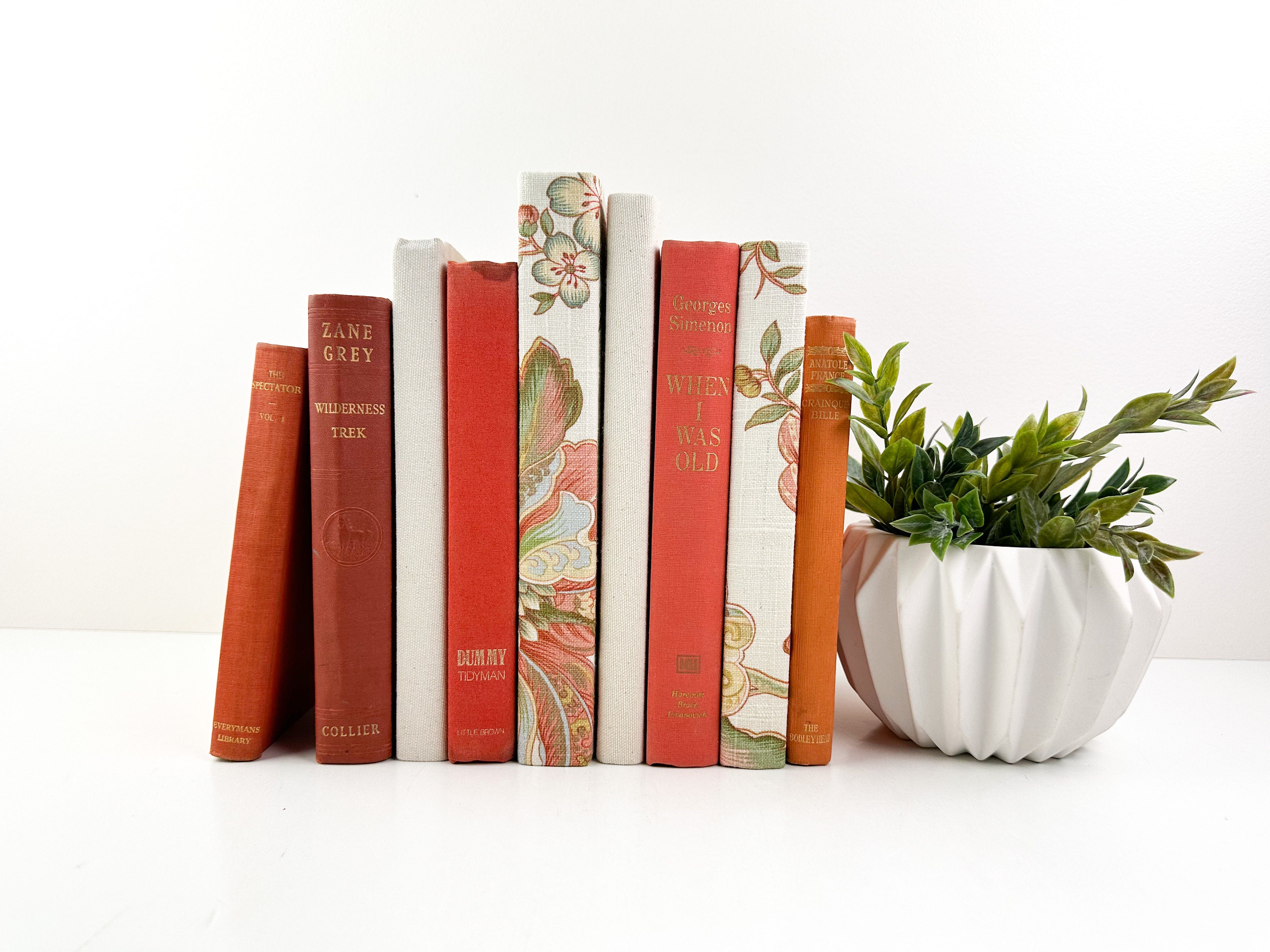 Decorative Books, Book Bundle, Cream Books for Shelf Decor, Decorative  Books, Designer Books, Books for Staging 
