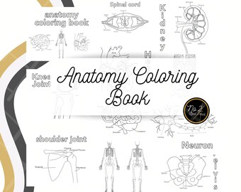 Download Anatomy Coloring Etsy