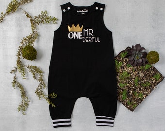 mr onederful birthday outfit