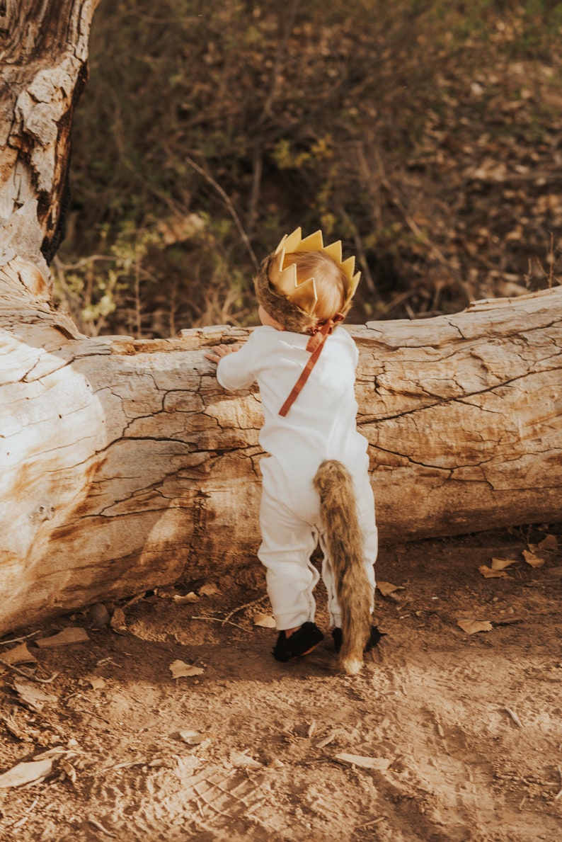 Wild One Gold Crown and Tail with Faux Fur . Costume for 1st Birthday Wild One Theme Party . Dress up and Make Believe Set . First B day image 3