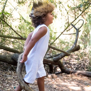 Wild One Gold Crown and Tail with Faux Fur . Costume for 1st Birthday Wild One Theme Party . Dress up and Make Believe Set . First B day image 4