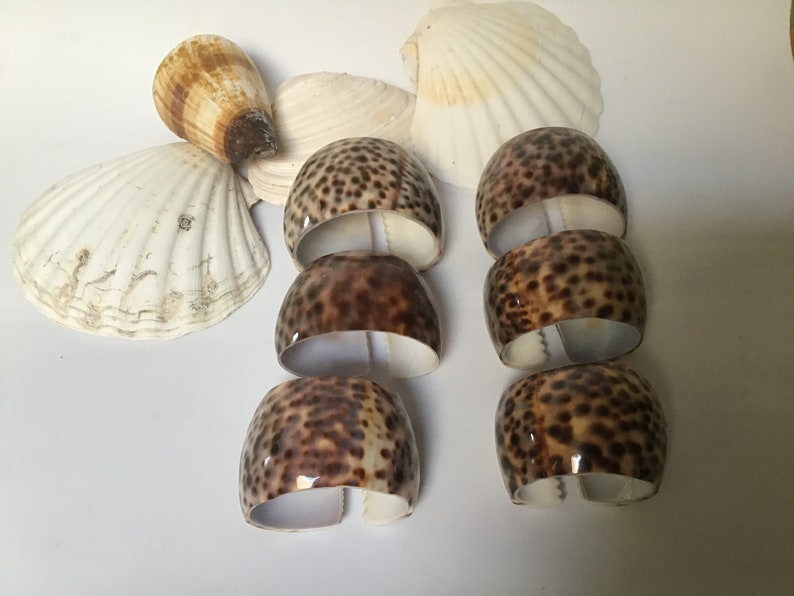 Seashell Napkin Rings Cowrie Shell Napkin Rings Set of 6 Etsy