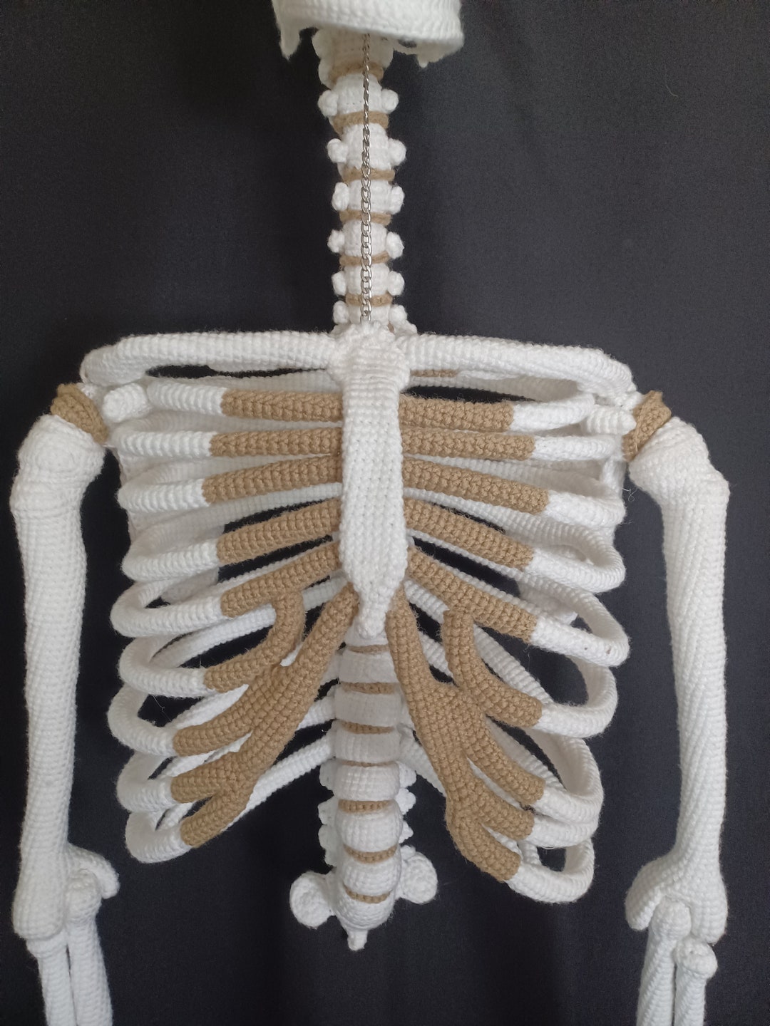 Crochet Ribcage Scapula and Clavicle Bones PATTERN ONLY!!