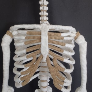 Crochet Ribcage Scapula and Clavicle Bones PATTERN ONLY!!