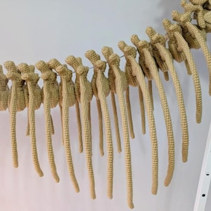 May include: Crocheted dinosaur spine in a light tan color. The spine is made of individual vertebrae with long, curved ribs. The piece is hanging against a white background, suggesting a decorative or educational item.