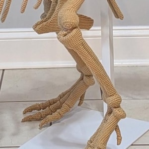 Op de afbeelding: Gehaakt dinosaurus skelet in bruin garen. De benen en voeten staan op de voorgrond, met de ribbenkast en ruggengraat zichtbaar op de achtergrond. De dinosaurus staat op een witte basis.
