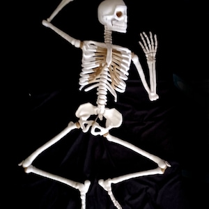 Crochet Skeleton Bundle Pack  PATTERN ONLY!!