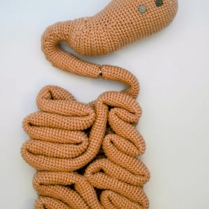 Crochet Stomach, Small Intestine PATTERN ONLY!