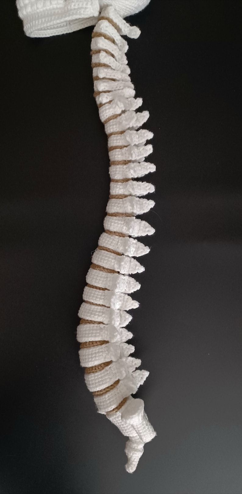Human Spine Crochet PATTERN ONLY! - Etsy