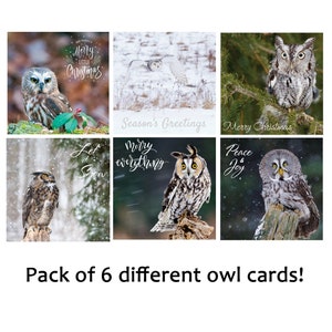 Cartes de Noël Owl - paquet de 6 hiboux différents, carte de vacances d’oiseau, carte de Noël de hibou, carte de vacances de photographie d’oiseaux