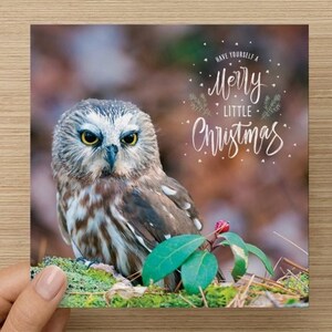 Cartes de Noël Saw-whet Owl - paquet de 6, Offrez-vous un joyeux petit Noël, carte de Noël oiseau, carte de Noël hibou