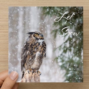 Cartes de Noël Grand-duc d’Amérique - paquet de 6, Let it Snow, carte de vacances d’oiseau, carte de Noël de hibou, carte de vacances de photographie d’oiseaux