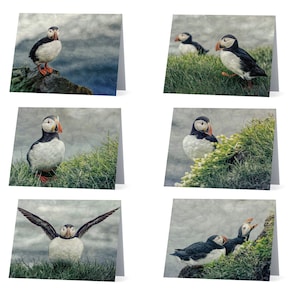 Puffin notes cards - paquet de 6