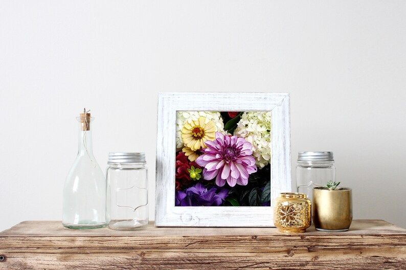 Pink Dahlia 12 X 12 Fine Art Print Gifts for Her, Gifts for Mom, Gifts
