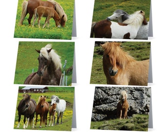 Icelandic Horse cards - pack of 6 blank note cards