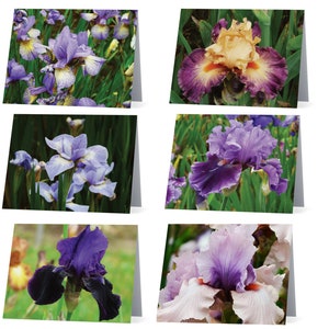 Cartes Iris - paquet de 6 cartes de notes vierges