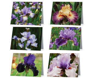 Iris cards - pack of 6 blank note cards