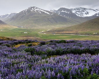 Icelandic landscape canvas wall art