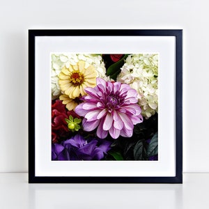 Pink Dahlia 12" x 12" fine art print - gifts for her, gifts for mom, gifts for flower lovers, gifts for nature lovers