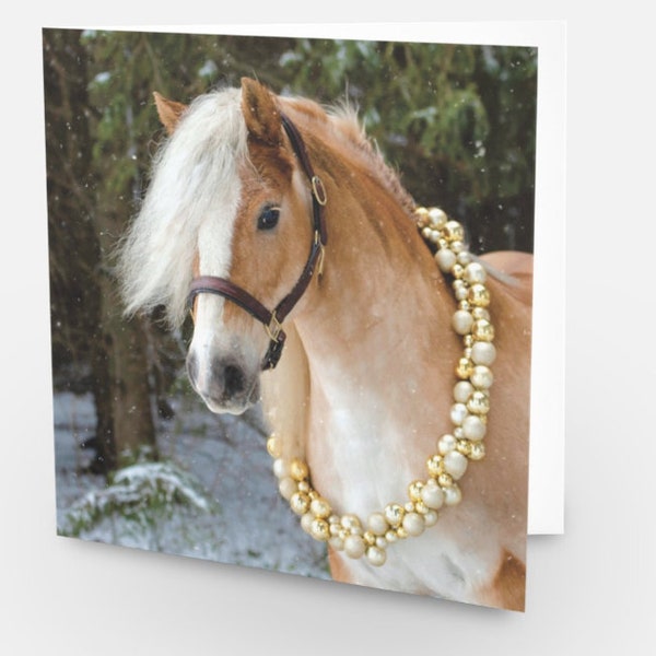 Haflinger horse in the snow Christmas Cards - pack of 6, horse holiday card, horse Christmas card, horse Xmas cards