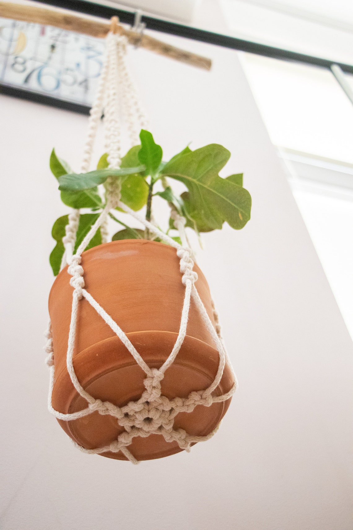 Macrame Plant Hanger Without Tassel Macrame Plant Hanger Etsy