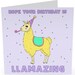 Fun Llama Birthday Card For Her Llama Pun Birthday Card For Wife Sister Brother Husband Funny Card For Friend Birthday 18th 21st 30th B