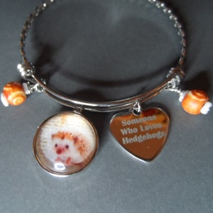 Hedgehog Bangle Bracelet,Free Shipping,Photo Snap Charm of Hedgehog,Stainless Charm&quot;Someone Who Loves Hedgehogs, Great Gift.