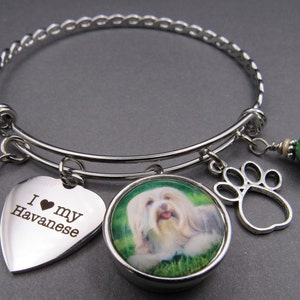 Havanese Bangle Bracelet, Free Shipping, Photo Snap of Havanese, Stainless&quot; I Love My Havanese&quot;Paw Charms,Green Saucer Beads.Great Gift.