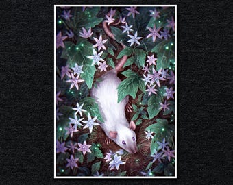 Collecting Star Flowers - Fantasy Rat A4 Print