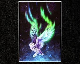 Vuelo de la aurora boreal - Búho nival (impresión A4)