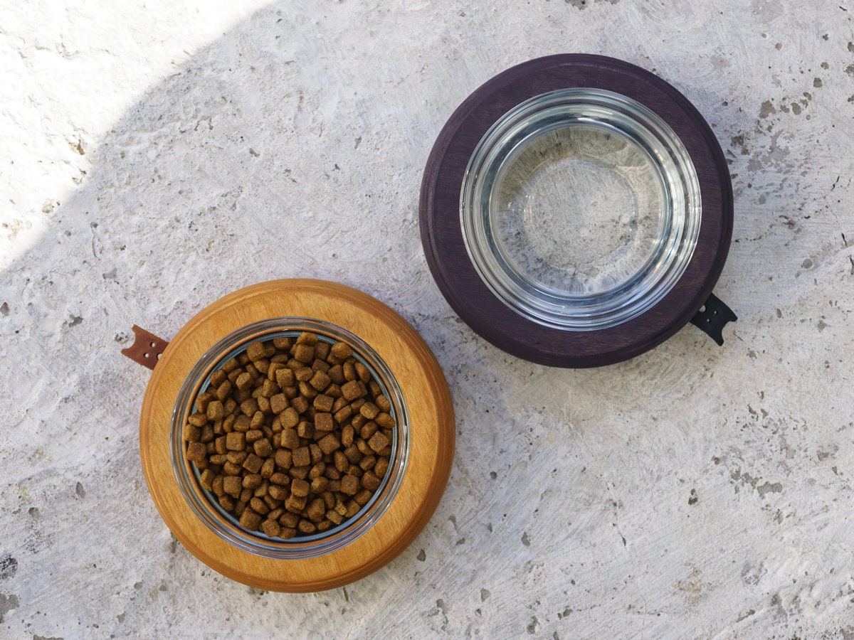 Cat Bowls Glass Single Stand. Cat Dishes Cat Waterer Cat Etsy